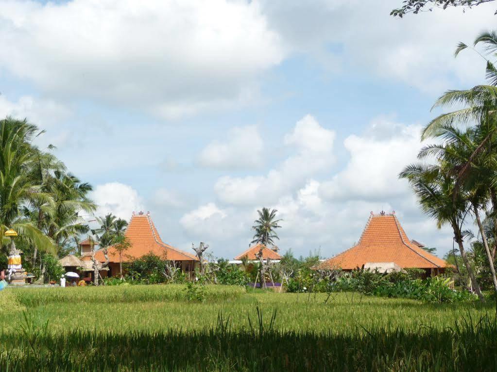 Umajati Retreat Villa Ubud  Exterior photo